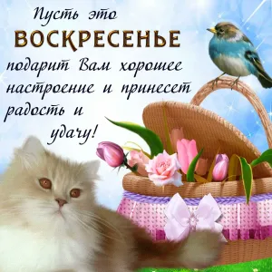 Скачивание изображения #33054