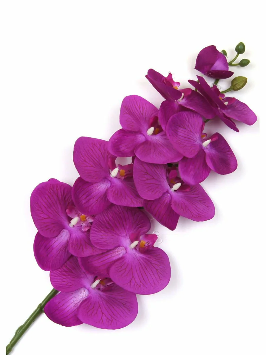 Фото Стихи к подарку орхидея #82