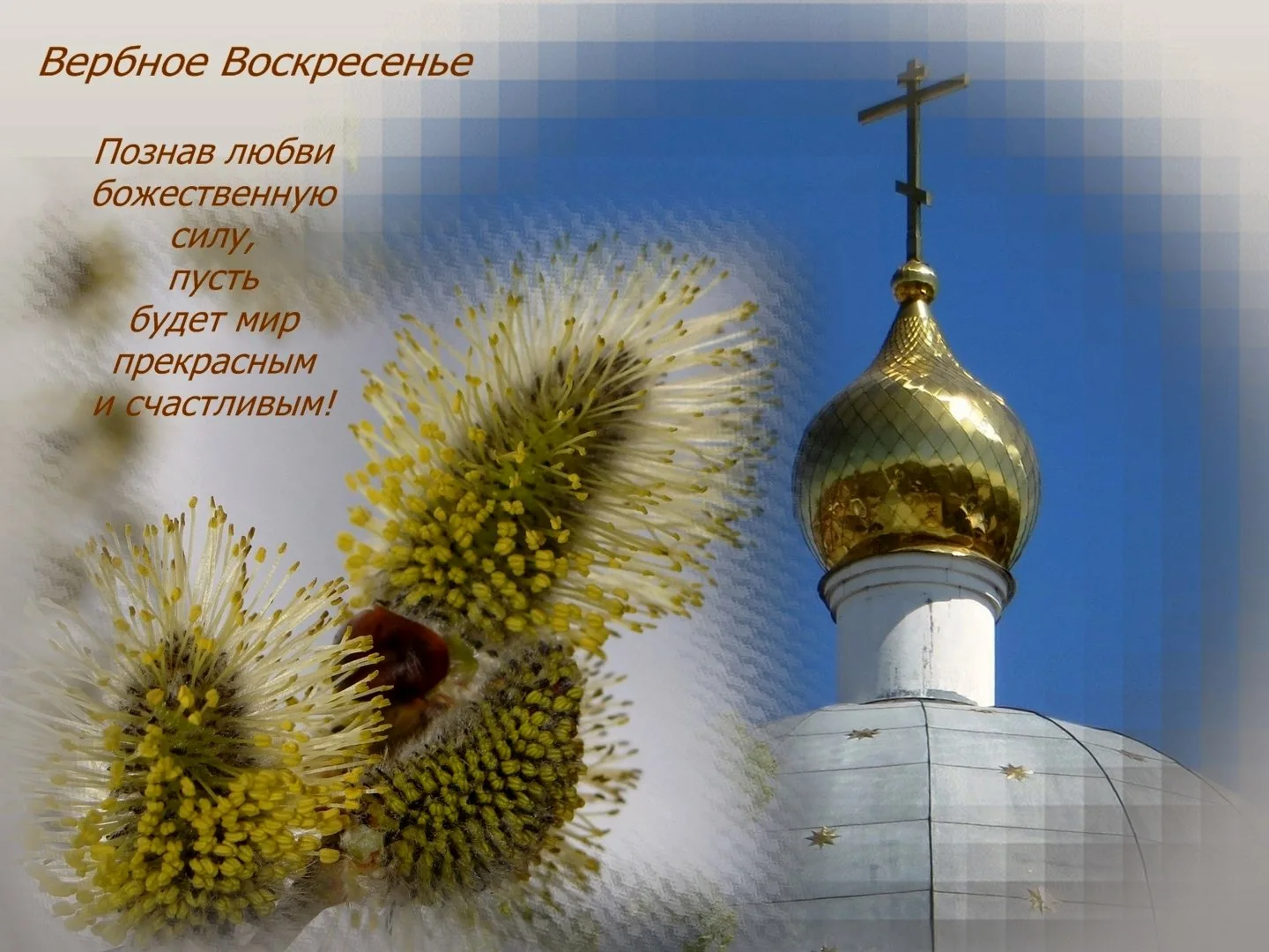 Фото Православные поздравления с Вербным Воскресеньем #47