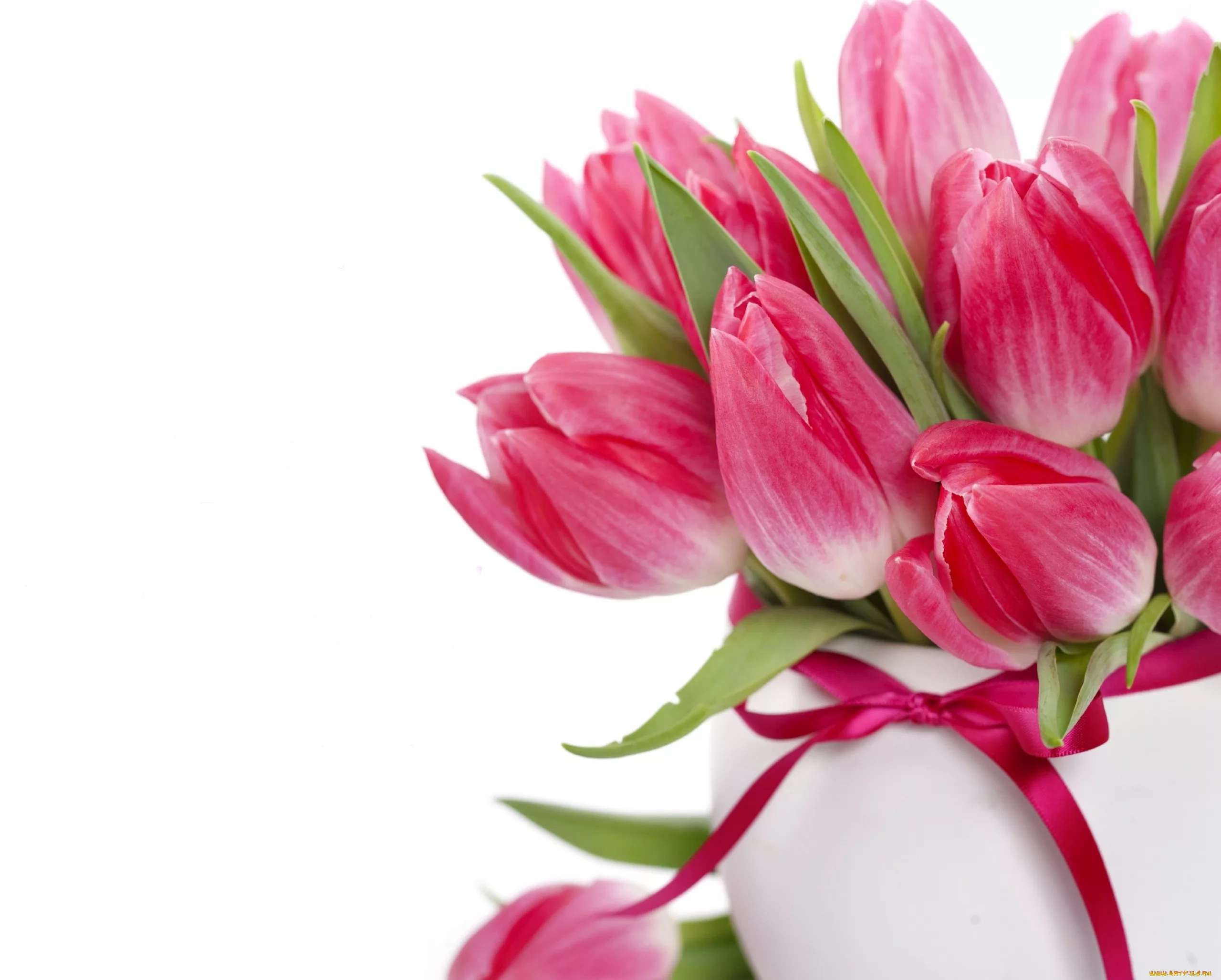 Фото Стихи к подарку тюльпаны #38