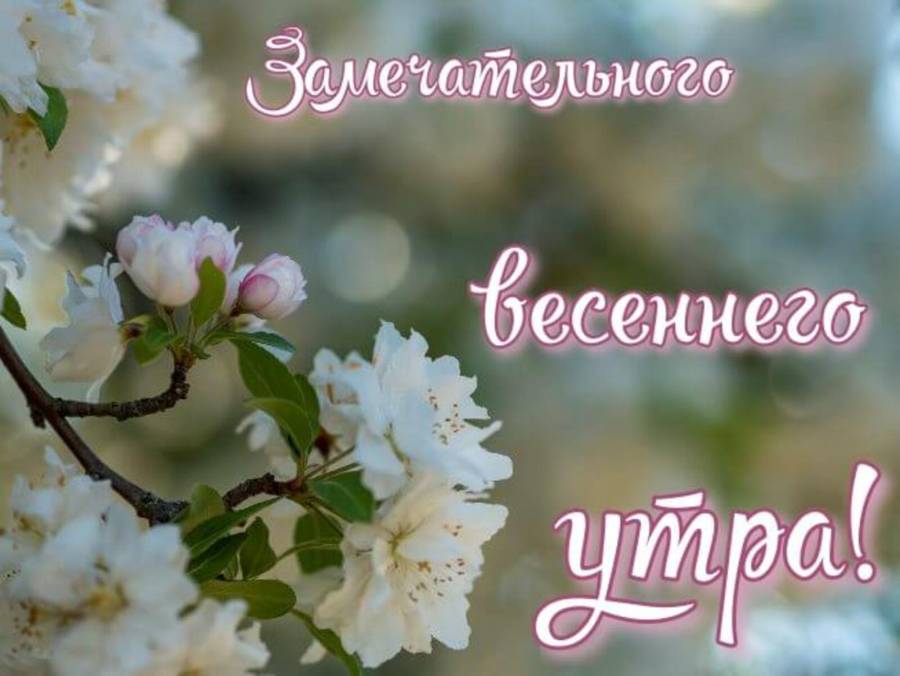 Весне дорогу доброе утро картинки. Пожелания с добрым весенним утром. Открытки с добрым утром весенние. Яркого весеннего дня.