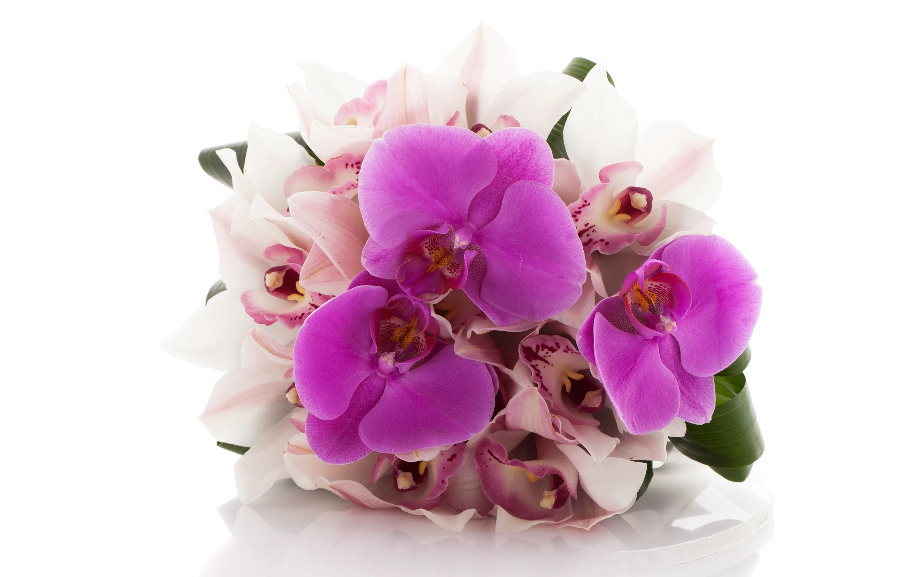 Фото Стихи к подарку орхидея #53