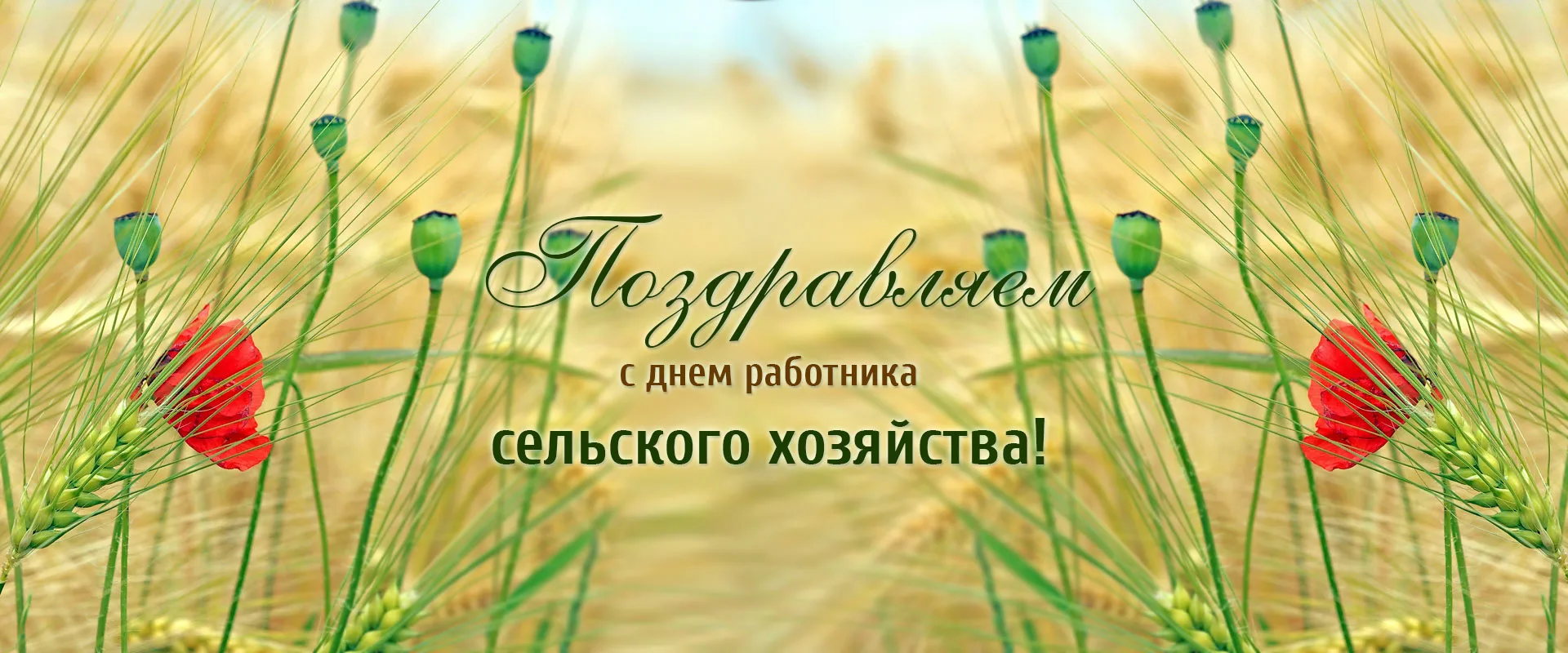 Фото Поздравления с днем работников сельского хозяйства Украины #91