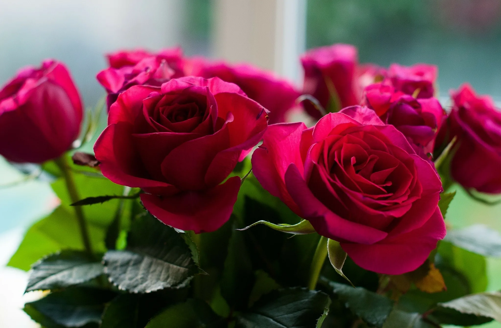 Красивые поздравления с днем рождения ютуб. Шикарные цветы. Открытка цветы. Открытки с розами.