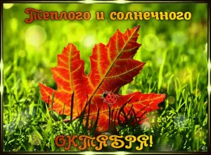Скачивание изображения #231155