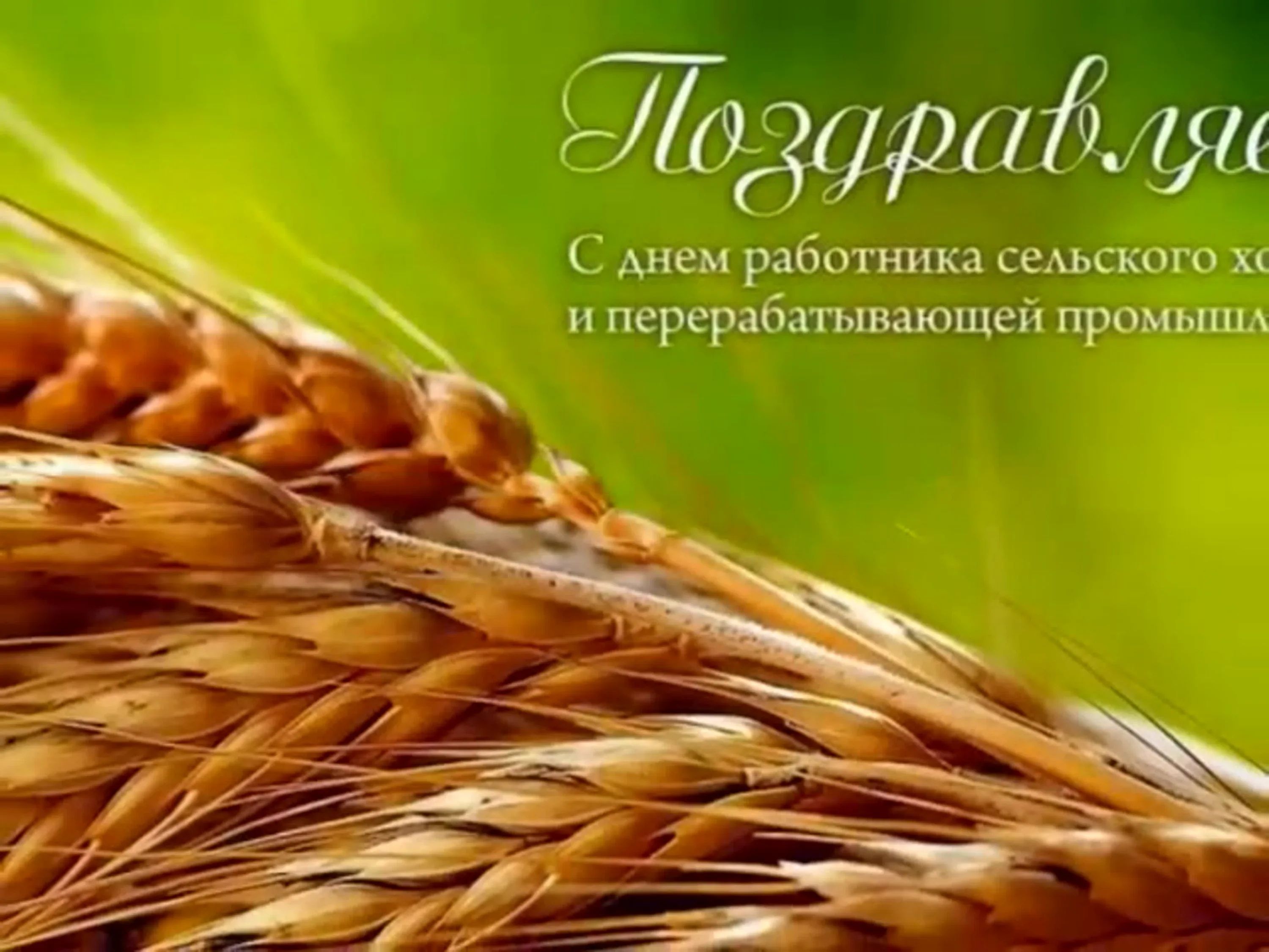 Фото Вірші та привітання з Днем працівників сільського господарства України #75