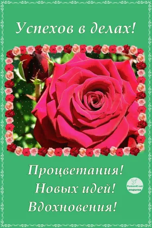 Скачивание изображения #81703