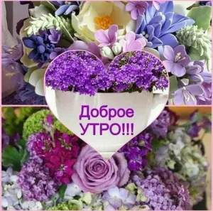 Скачивание изображения #227132