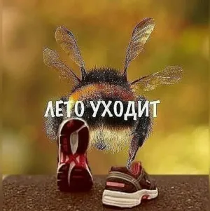 Скачивание изображения #95626