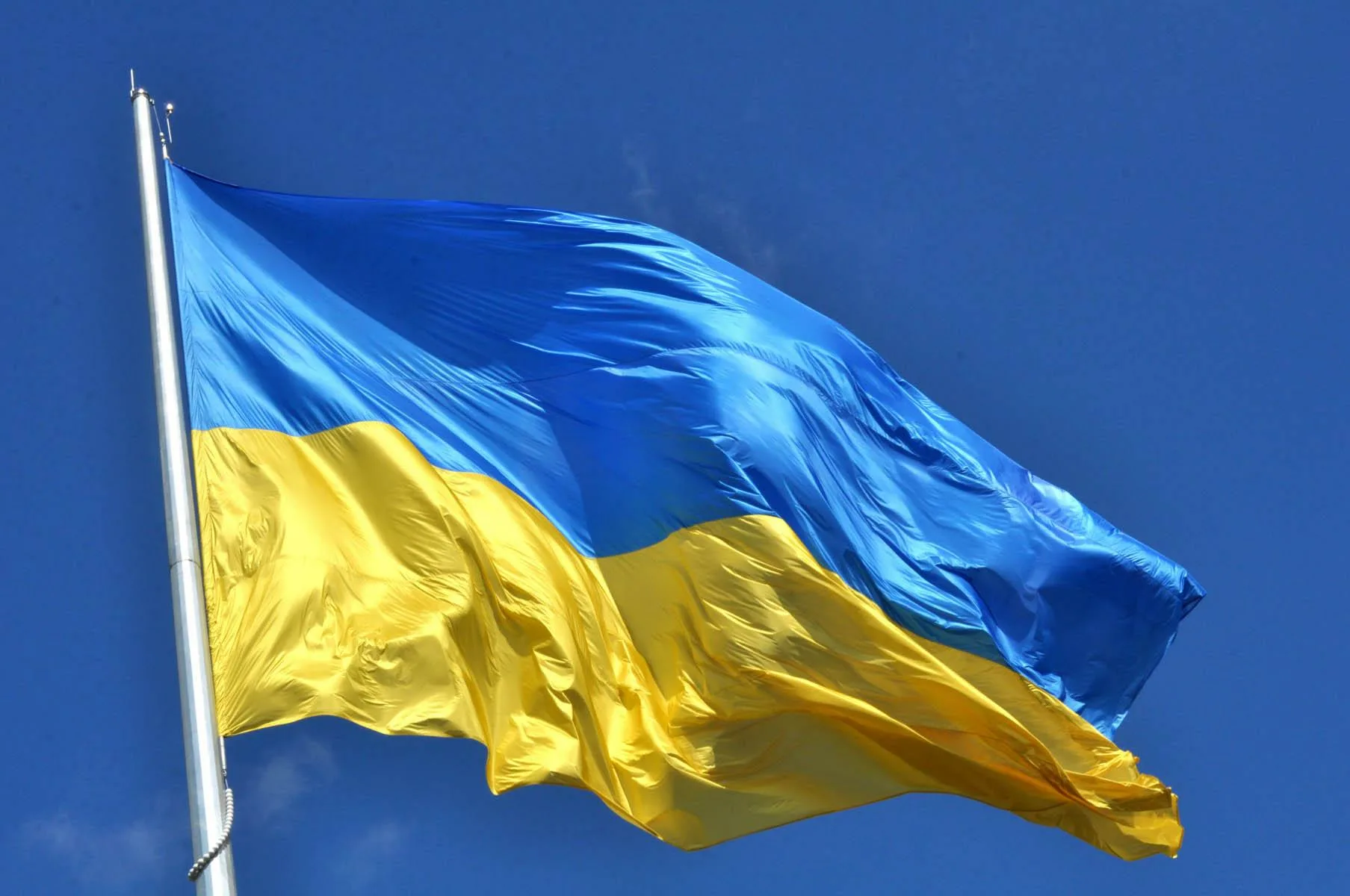 Фото День флага Украины #75