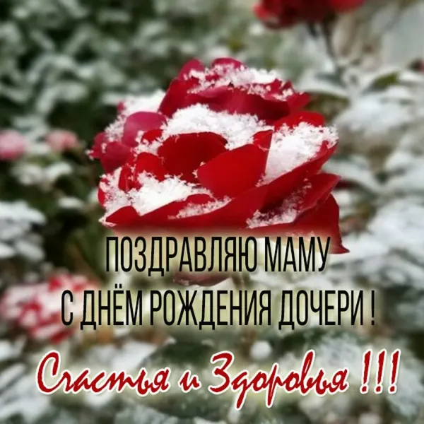 Открытки снохе с днем рождения