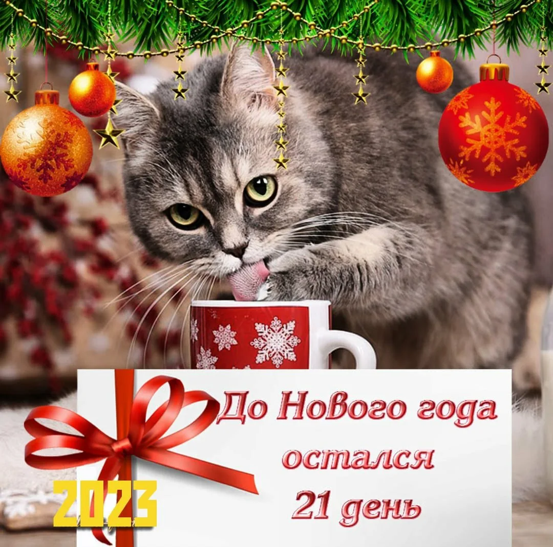 Фото Виджет: до нового года осталось (информер для сайта, блога и форума) #20