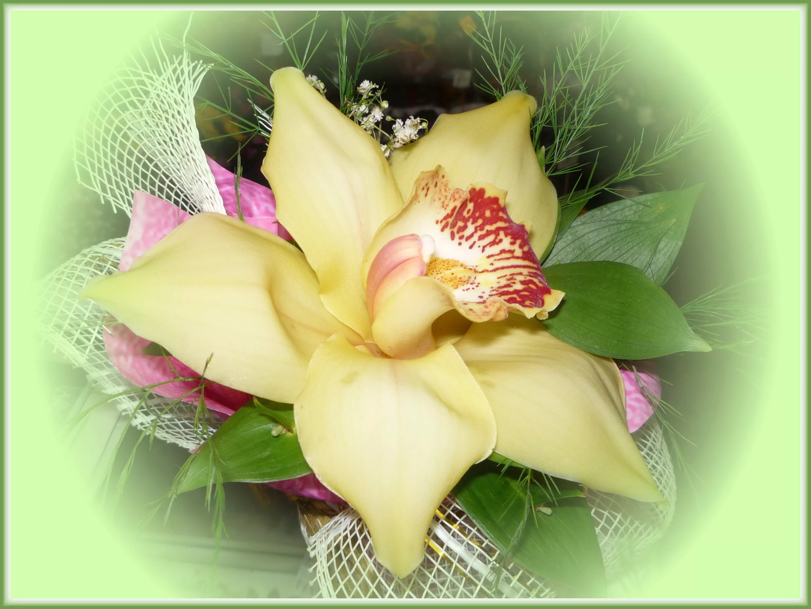 Фото Стихи к подарку орхидея #80