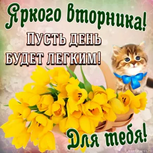 Скачивание изображения #32786