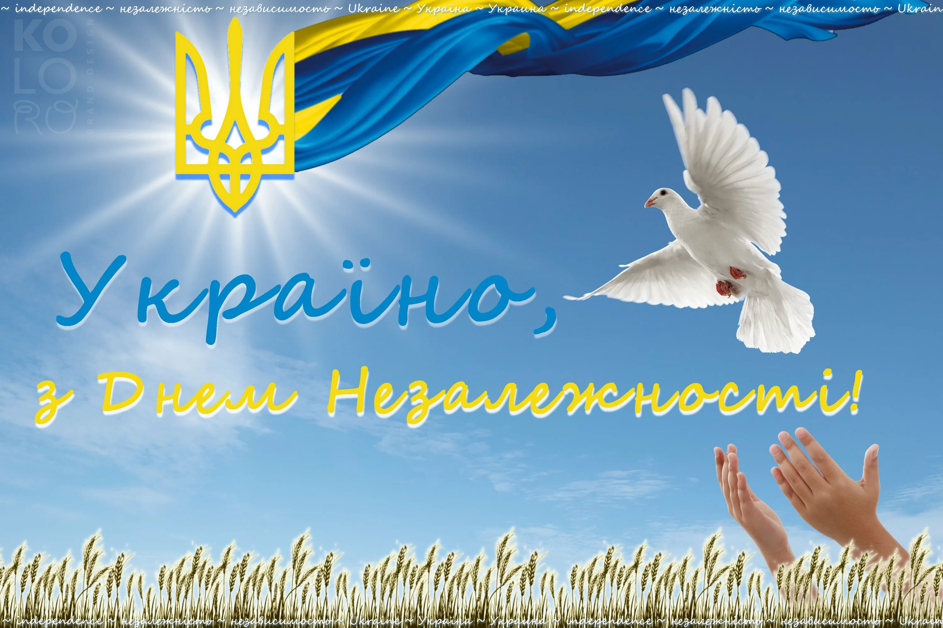 Фото День флага Украины #2