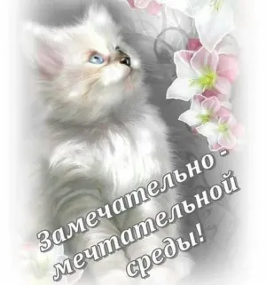 Скачивание изображения #430261
