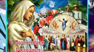 Скачивание изображения #311247
