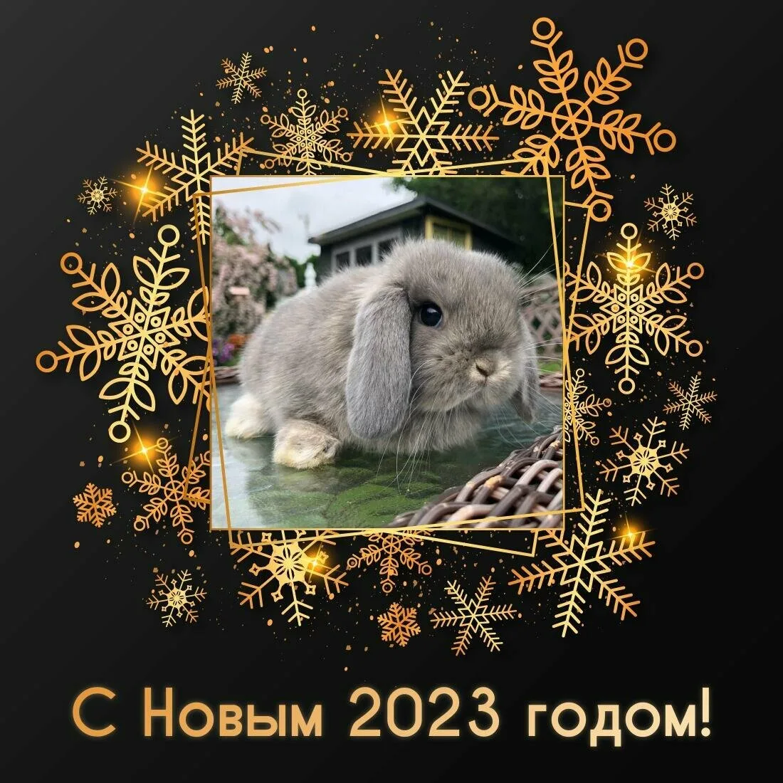 Картинка новый 2023