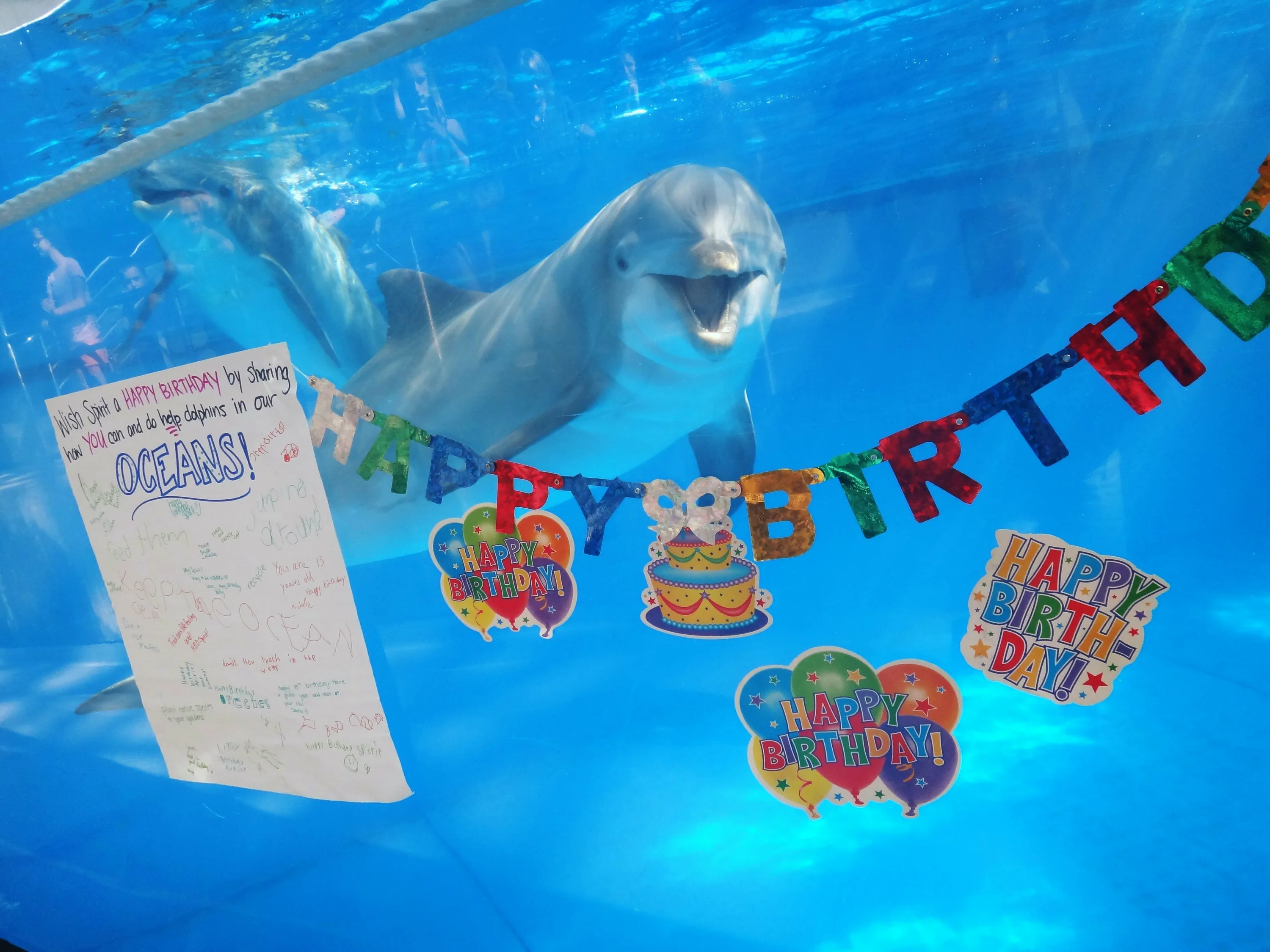 Фото Happy birthday wishes to swimming coach #10