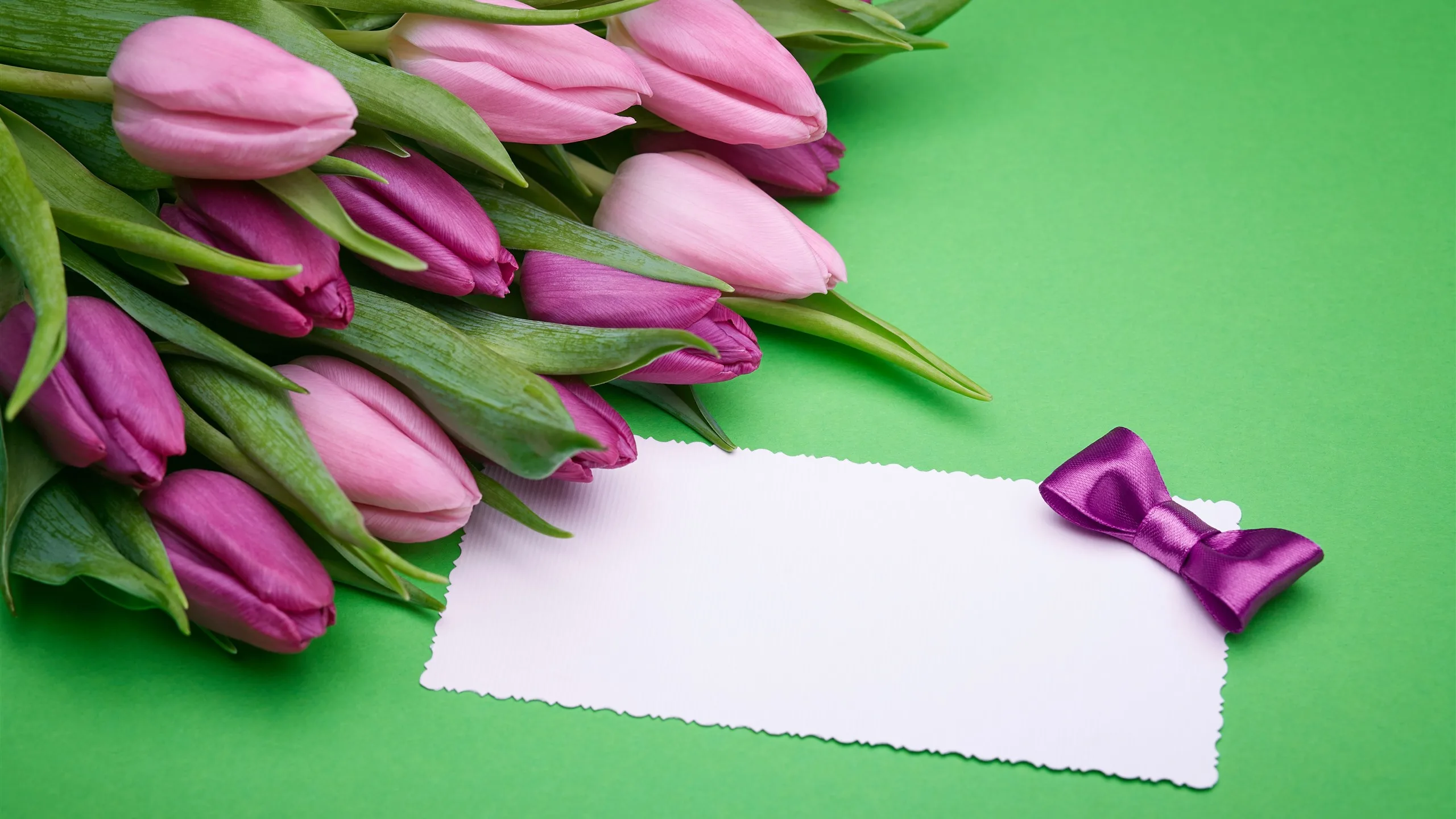 Фото Стихи к подарку тюльпаны #47