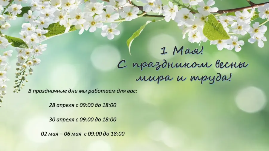 День душнилы 2025 когда празднуется