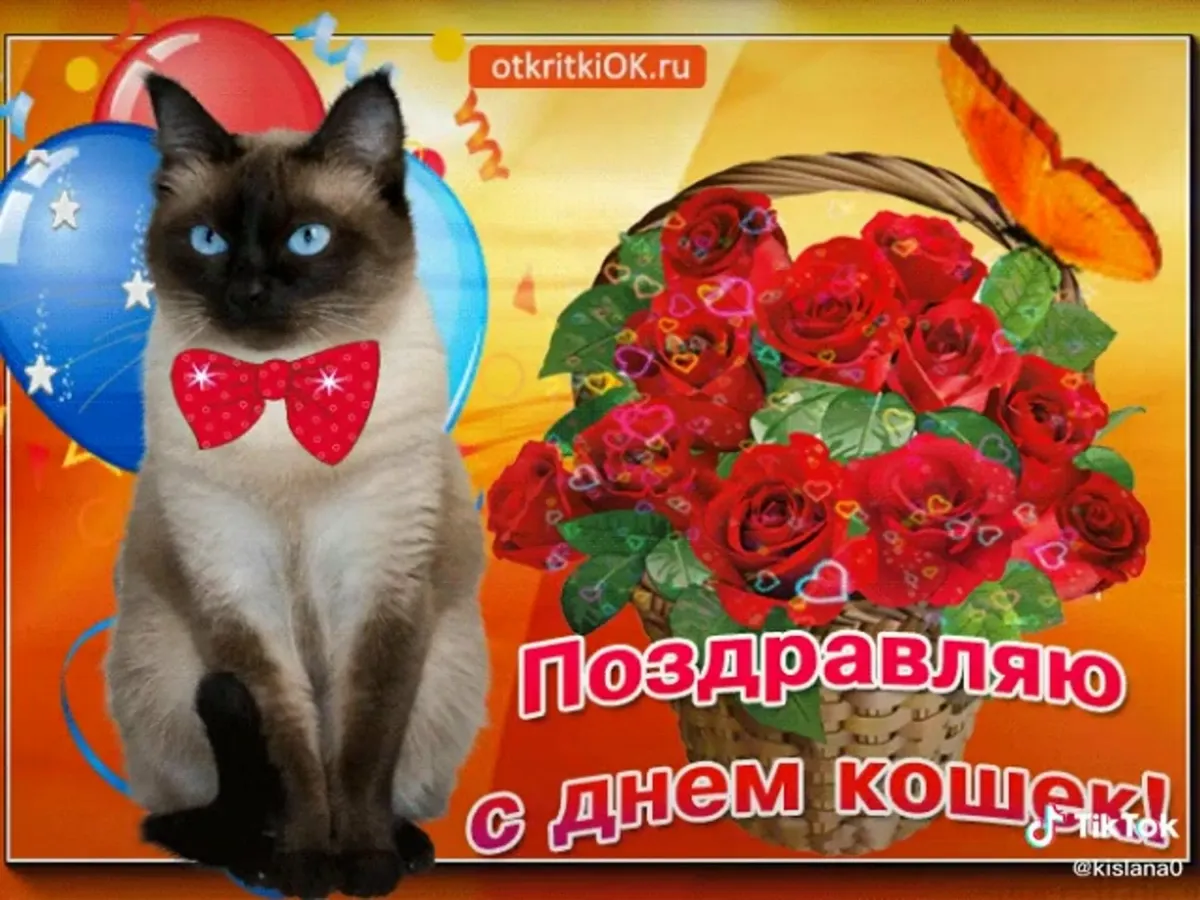 Поздравление С Днем Кошек Картинки