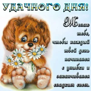 Скачивание изображения #31496