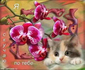Скачивание изображения #424622