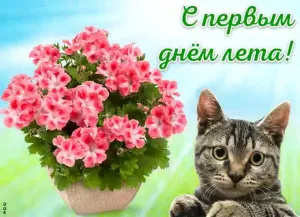 Скачивание изображения #91425