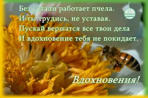 Скачивание изображения #40499