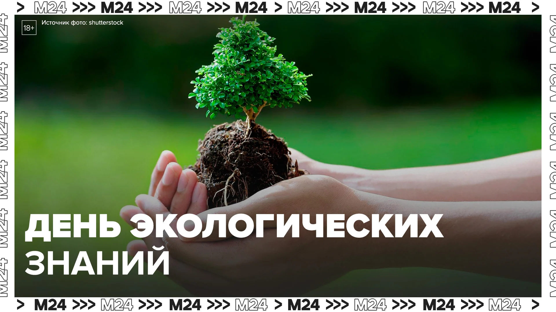 Фото День экологических знаний 2025 #25