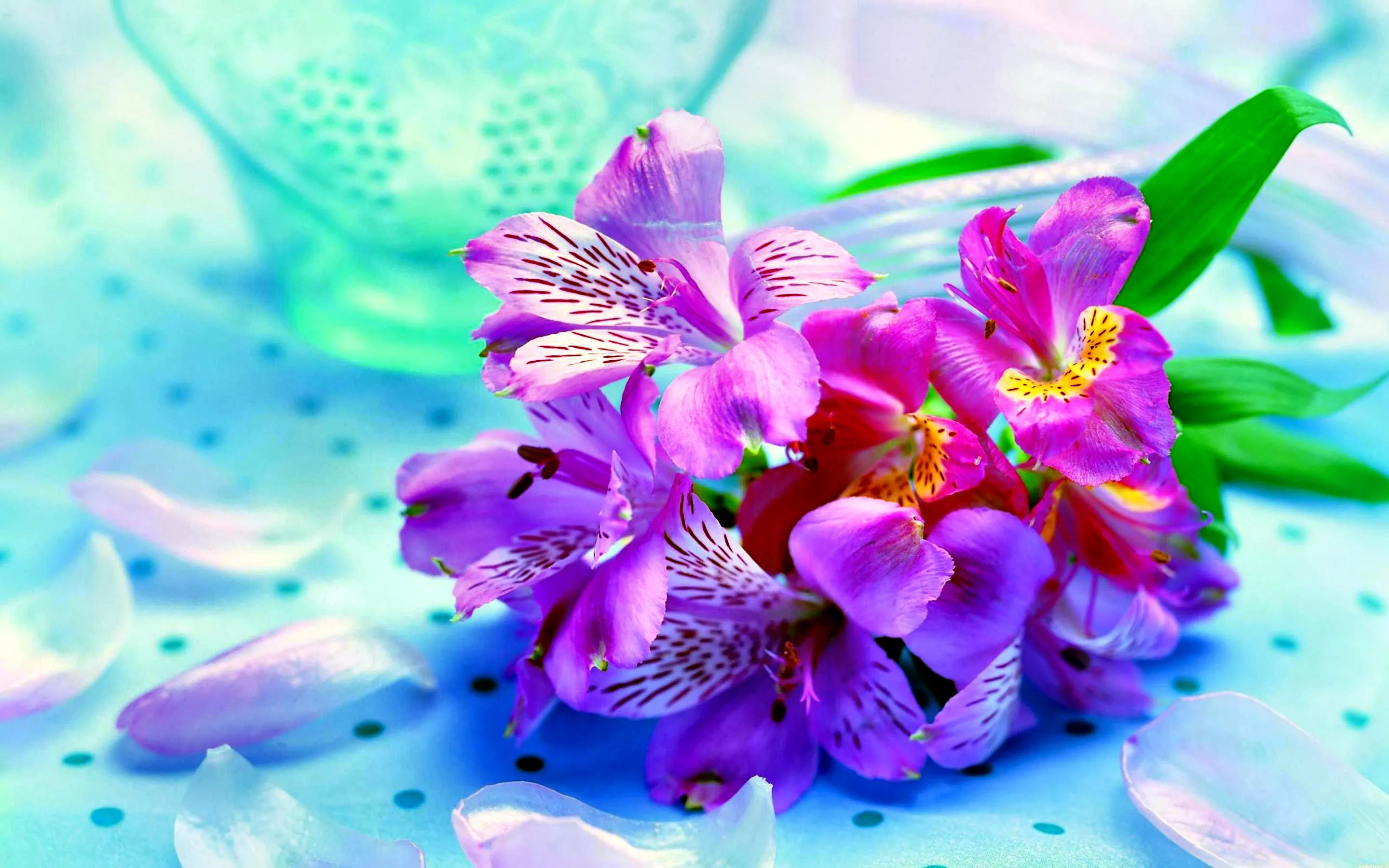 Фото Стихи к подарку орхидея #64