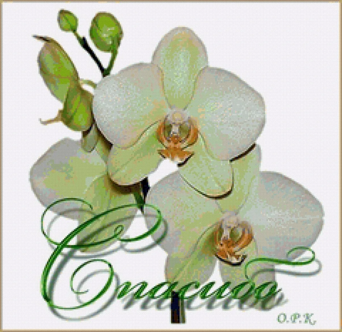 Фото Стихи к подарку орхидея #78