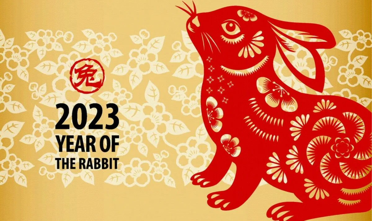 Фото Китайский Новый год 2025 #13