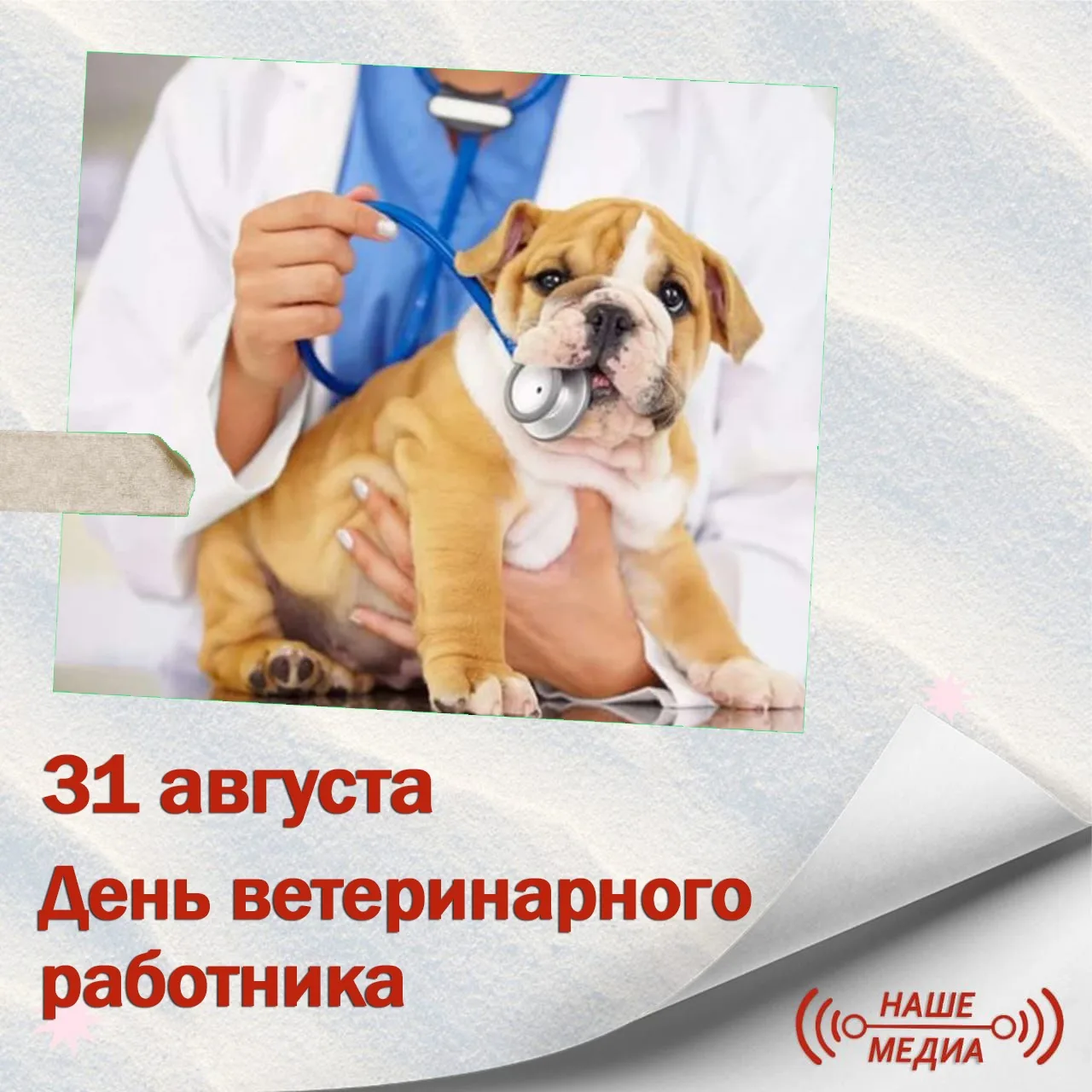 Фото Поздравления ветеринару с днем рождения #57