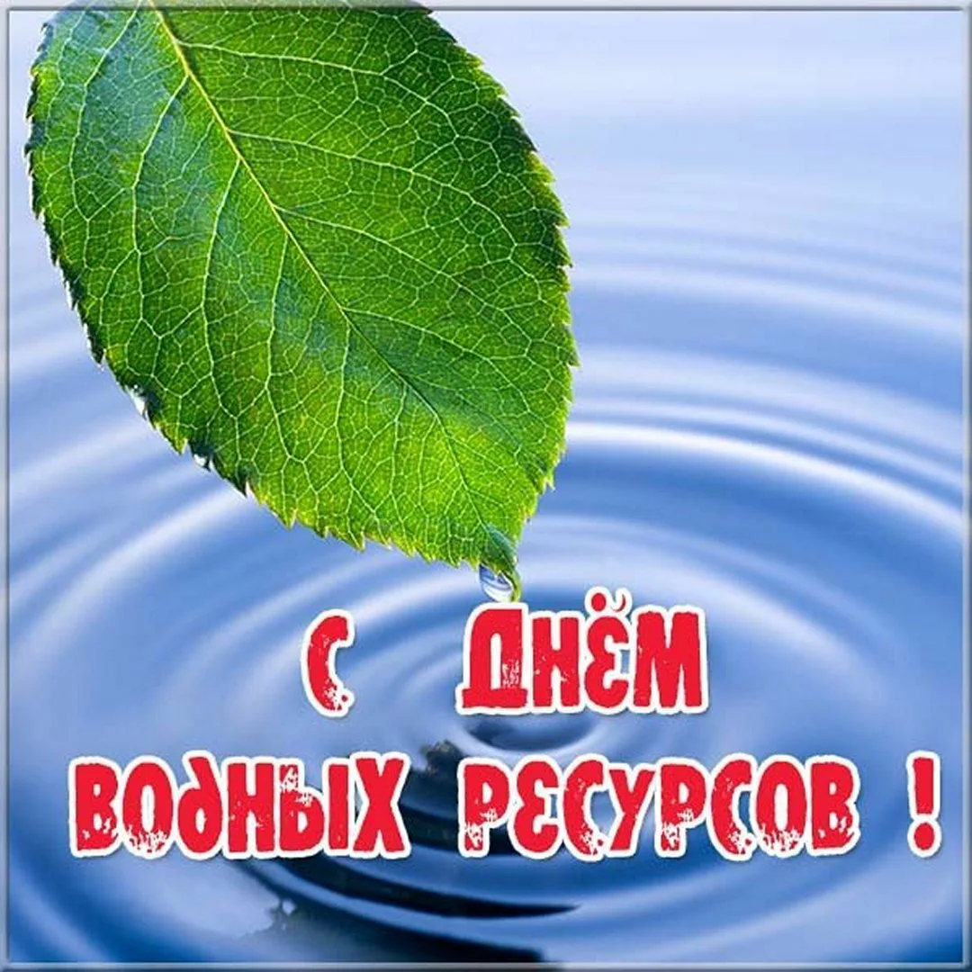 Фото День работников водного хозяйства Украины 2024 #20