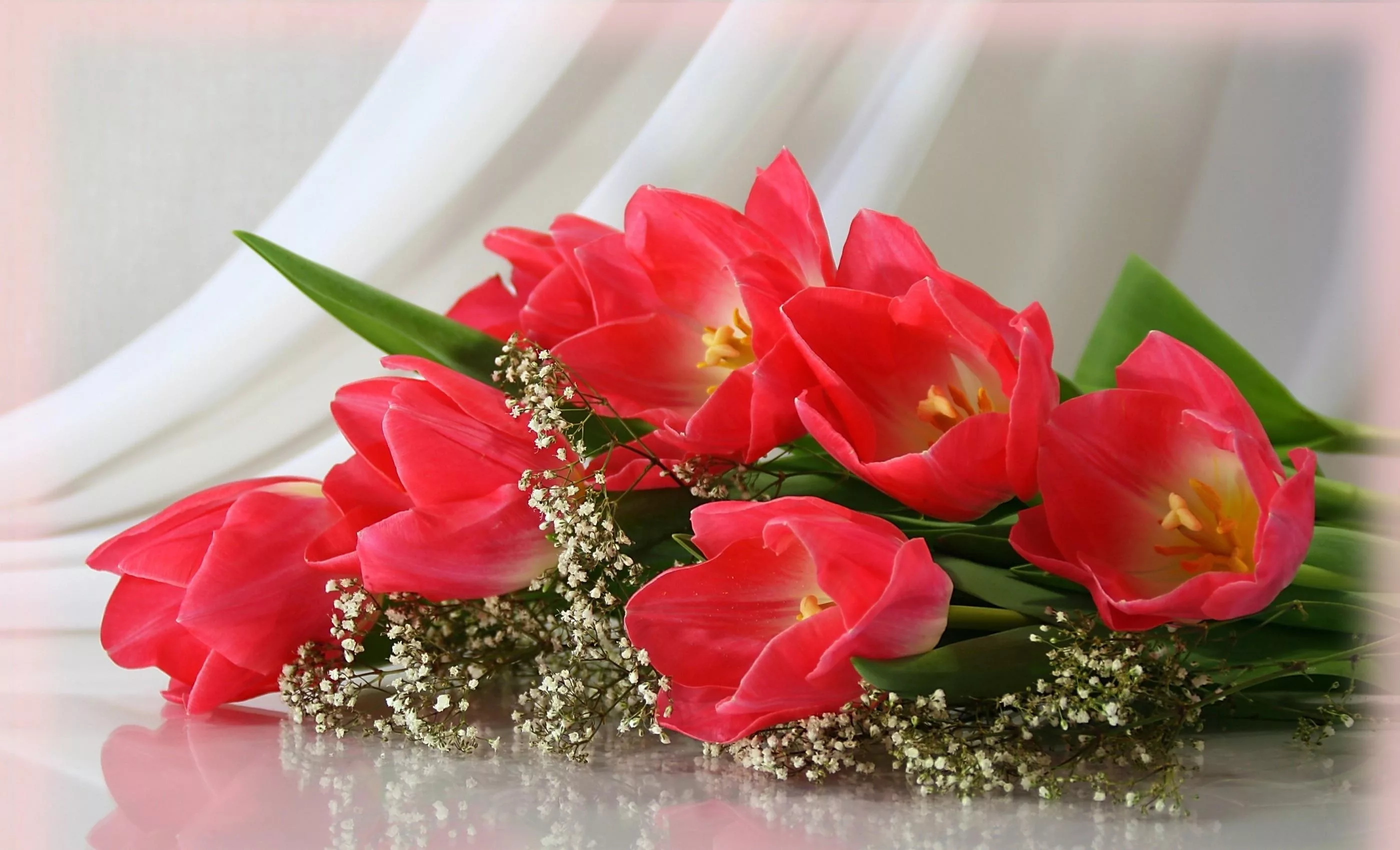 Фото Стихи к подарку тюльпаны #44