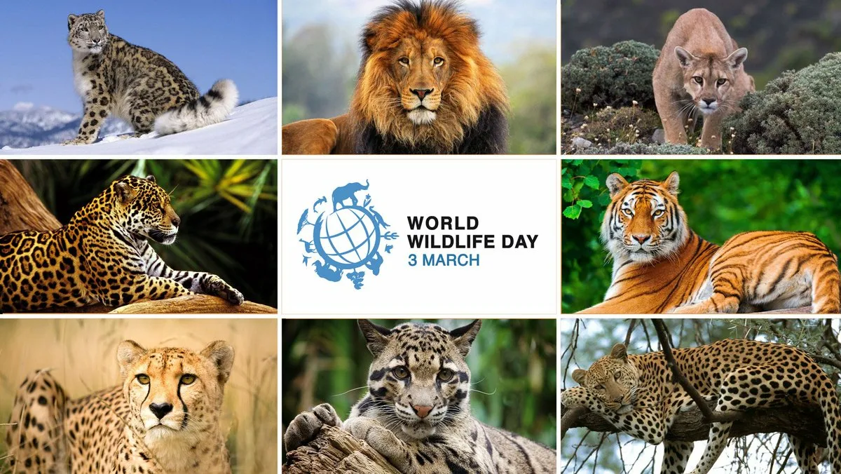 Фото Всемирный день дикой природы 2025 #35