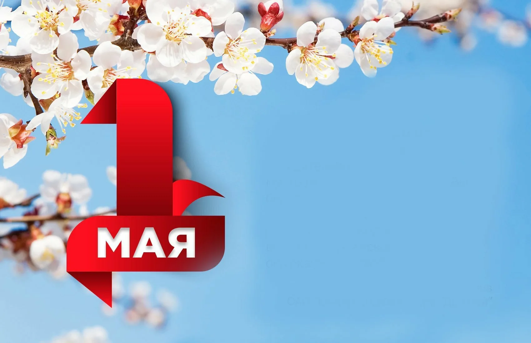 Надпись 1 мая картинки