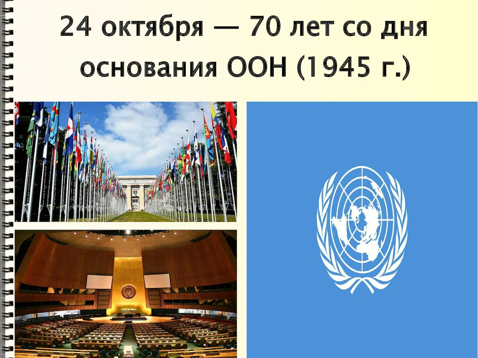 Фото День ООН 2024 #48