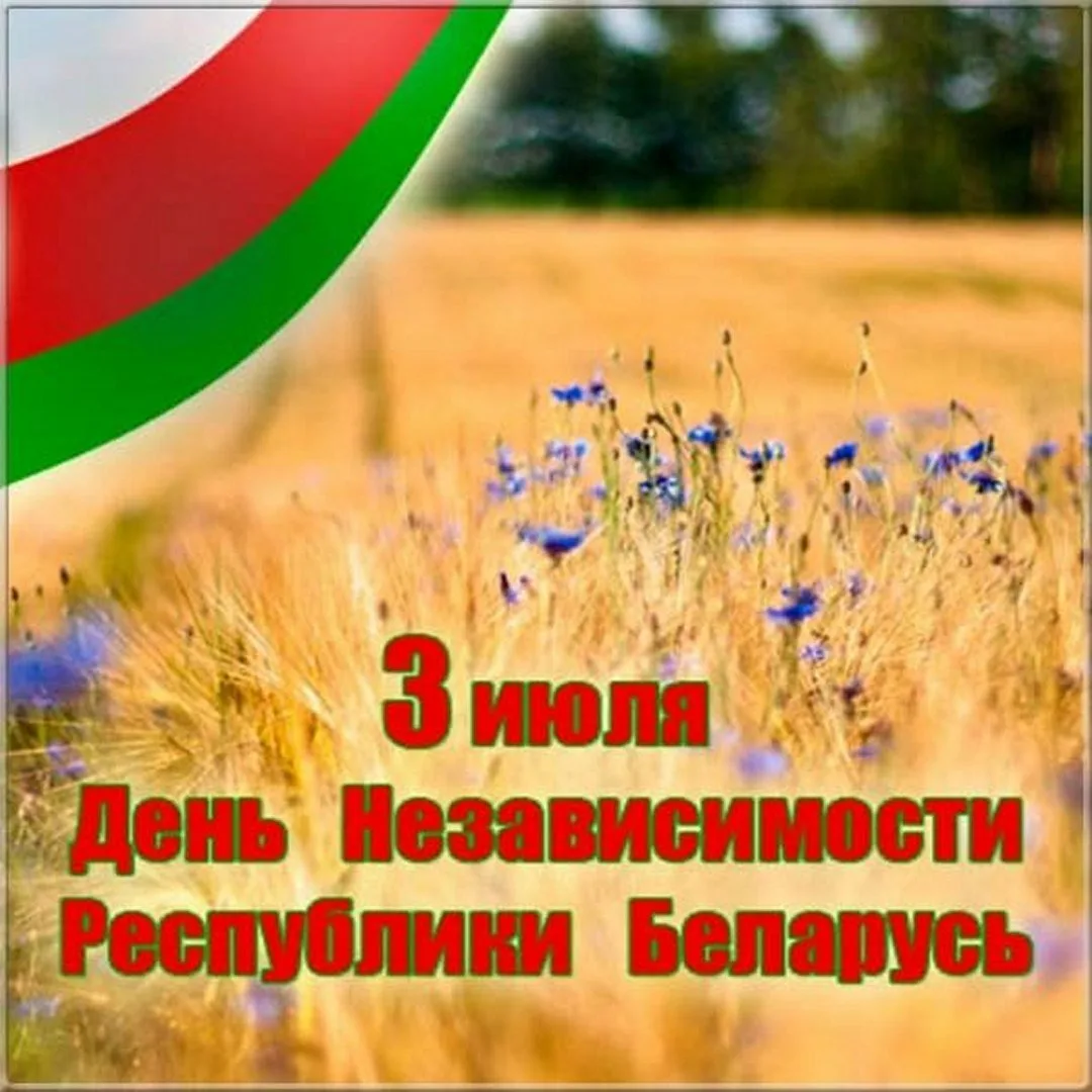 Фото День Независимости Республики Беларусь 2024 #32