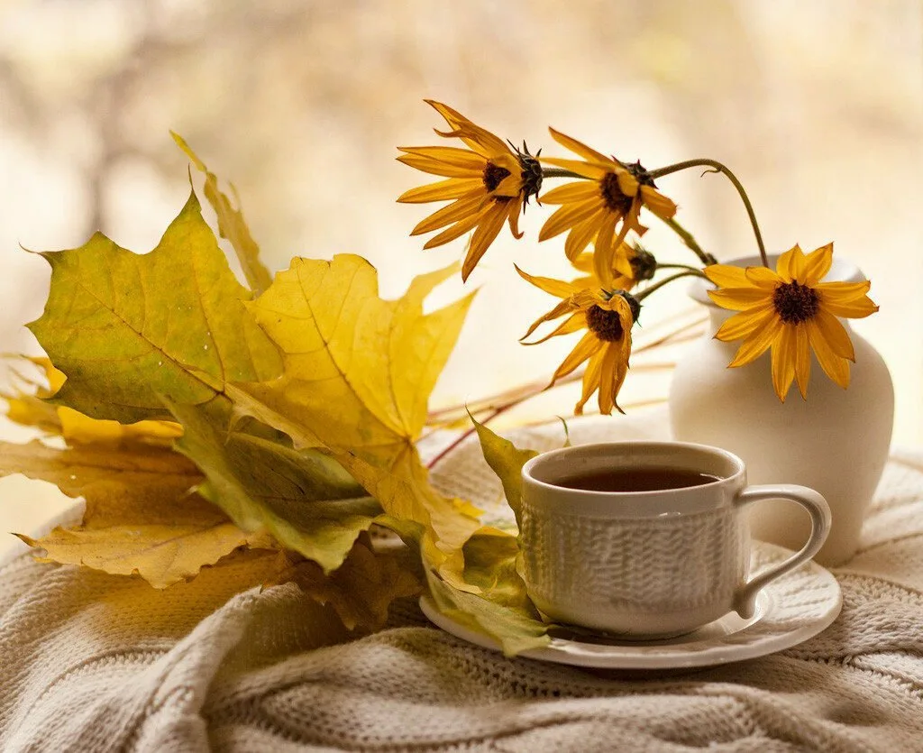 Осенние пожелания доброго утра картинки. Доброе осеннее утро. Доброе солнечное осеннее утро. Хороших осенних выходных. Доброе осеннее утро субботы.
