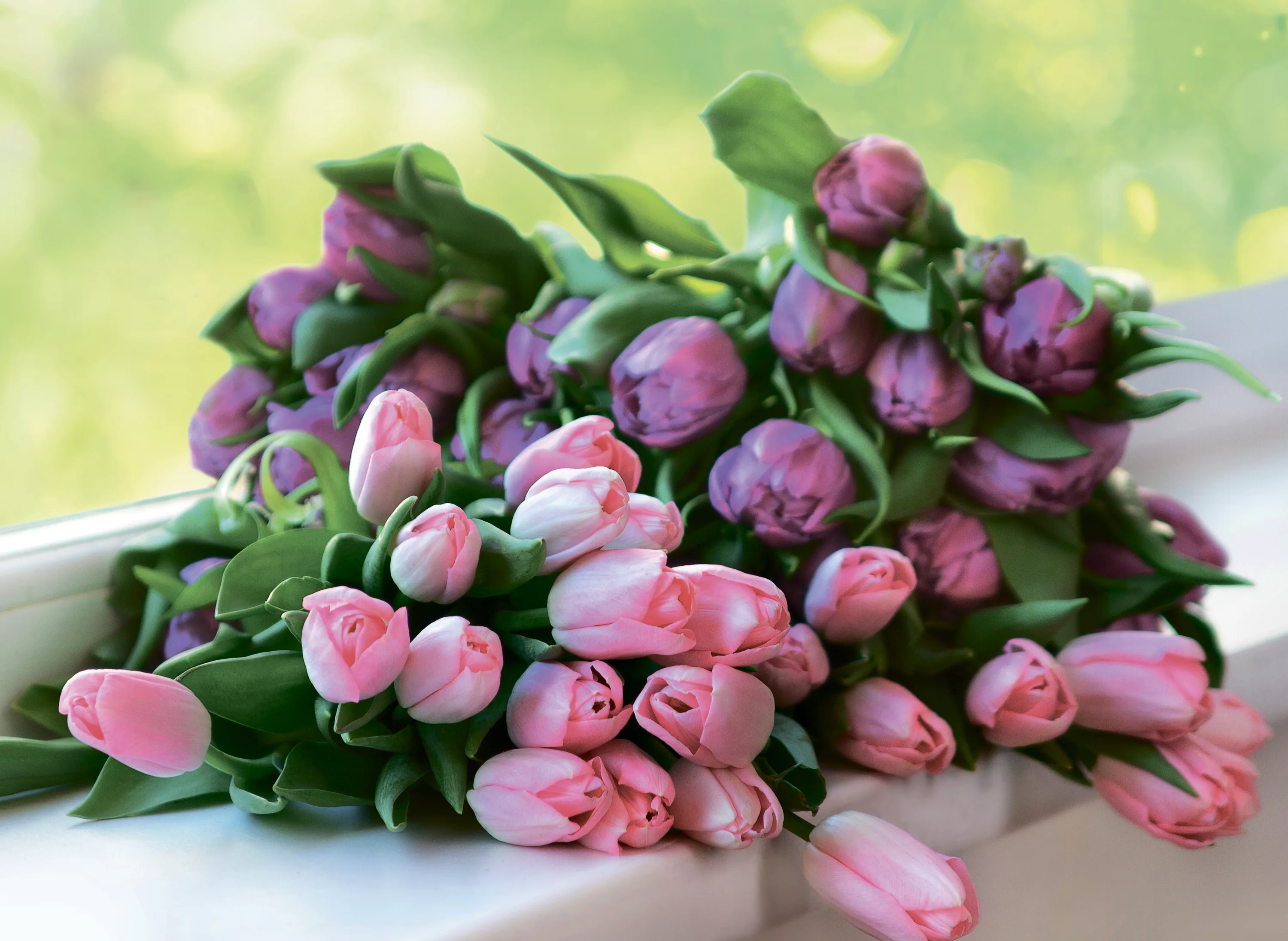 Фото Стихи к подарку тюльпаны #68
