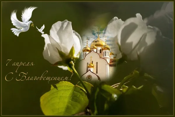 Многая и благая лета открытки