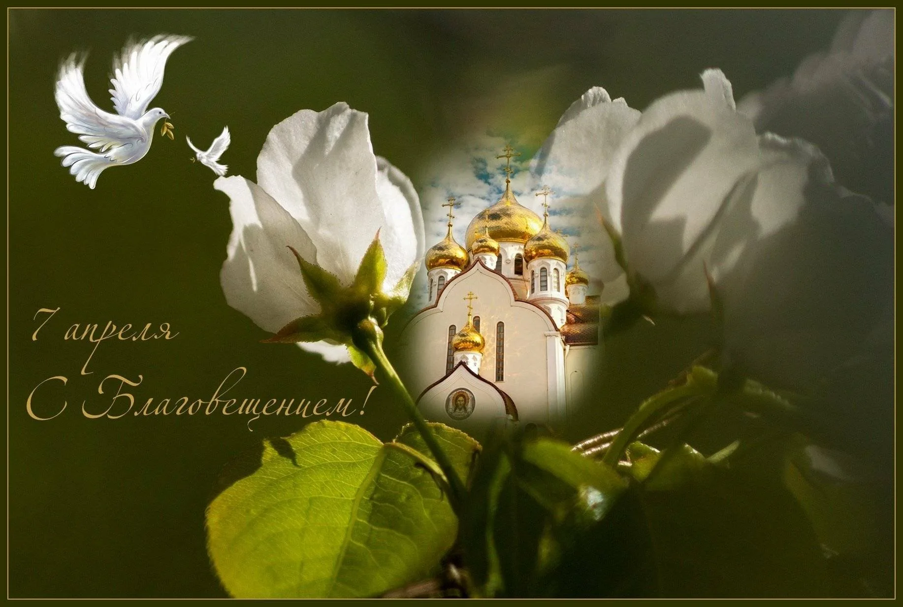 Доброго дня православные. Церковные открытки. Православные открытки многая и Благая лета. Православные пожелания.