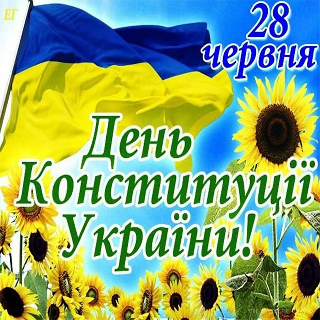 Фото День Конституции Украины #2