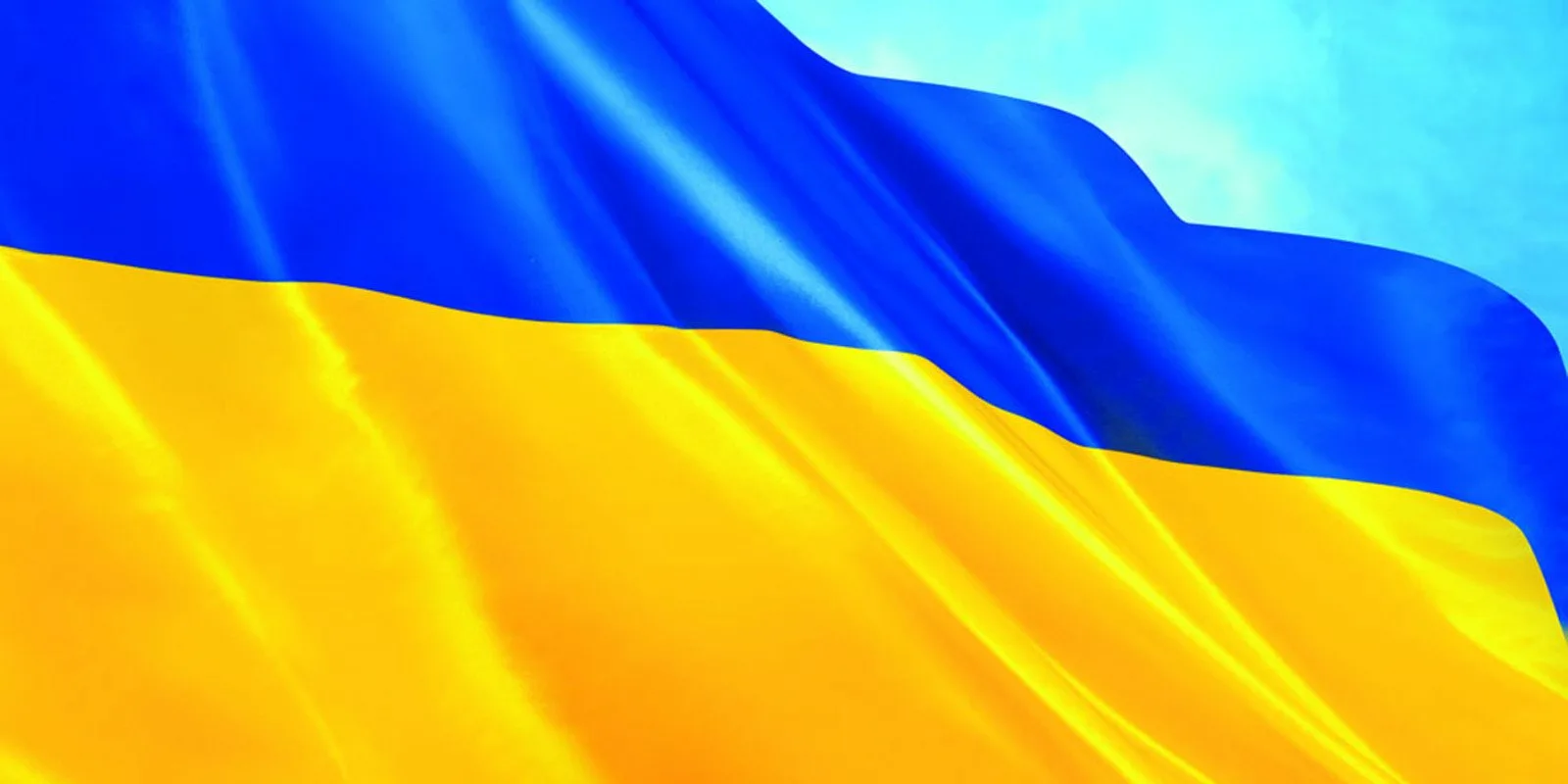 Фото День флага Украины #62