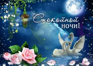 Скачивание изображения #26784