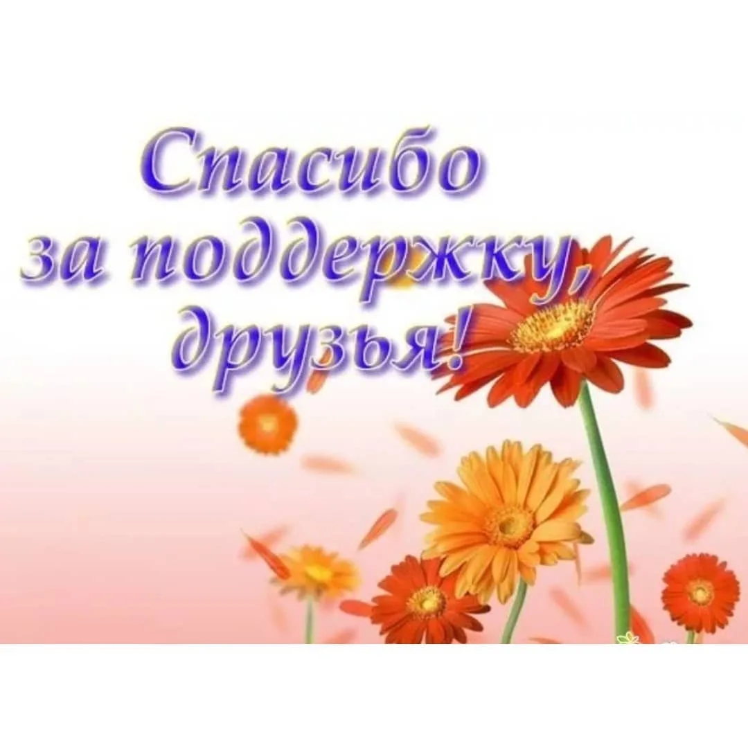 Пост благодарности за помощь. Спасибо за поддержку. Благодарю за поддержку. Открытка с благодарностью за поддержку. Открытка спасибо за поддержку.