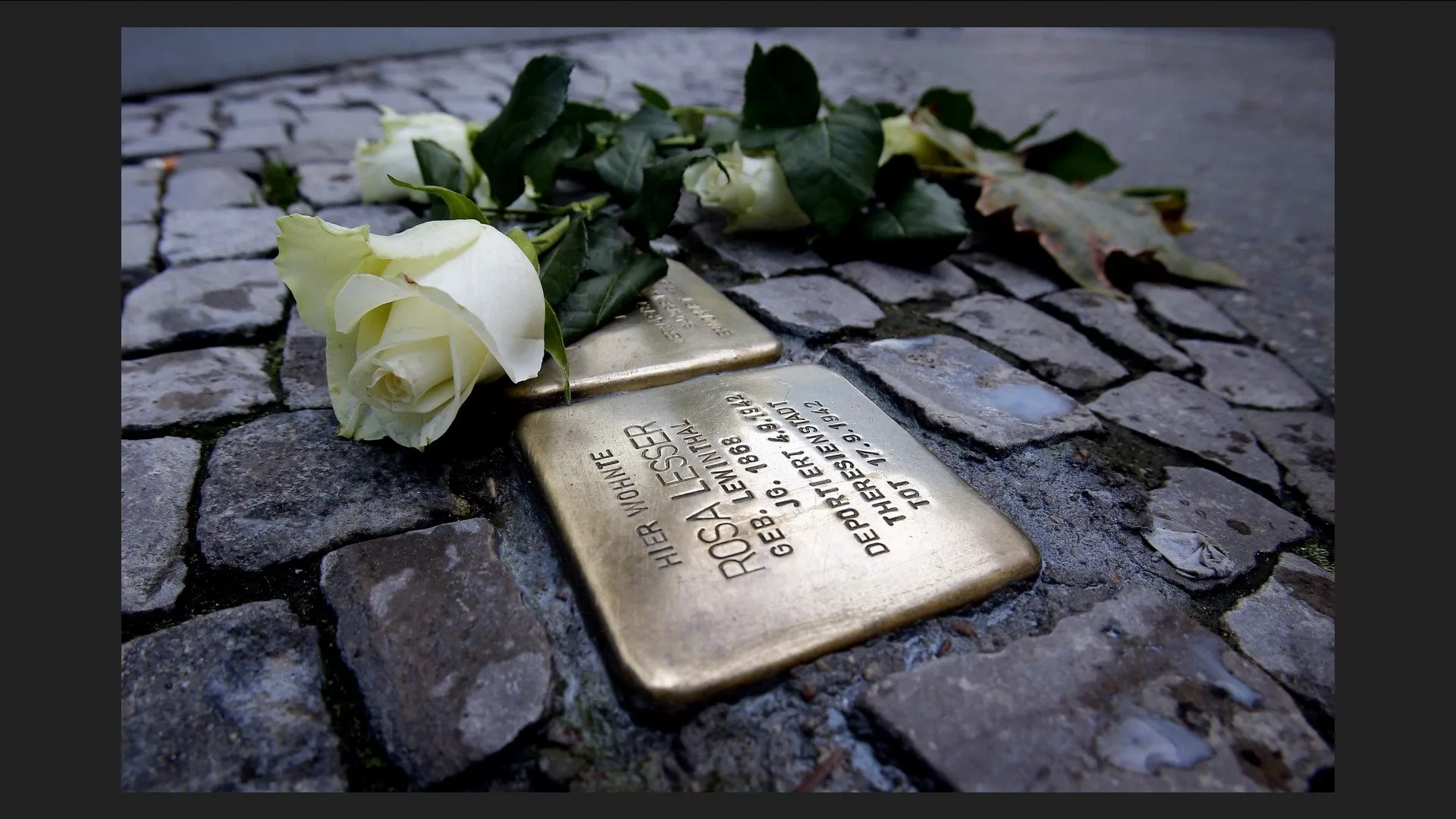 Фото Международный день памяти жертв Холокоста #75